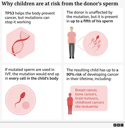 Infographic: How a TP53 mutation in donor sperm can cause Li-Fraumeni syndrome and a high lifetime cancer risk.